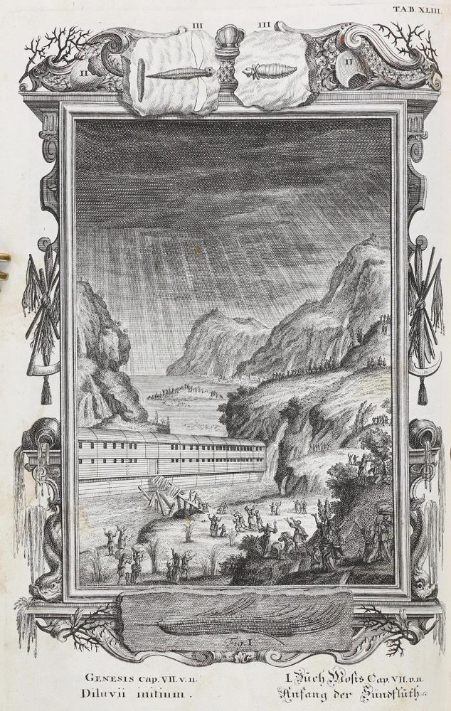 Große Abbildung Nr.3: 132-223 Scheuchzer,J.J.: (Alte Drucke, Handschriften und Theologie)