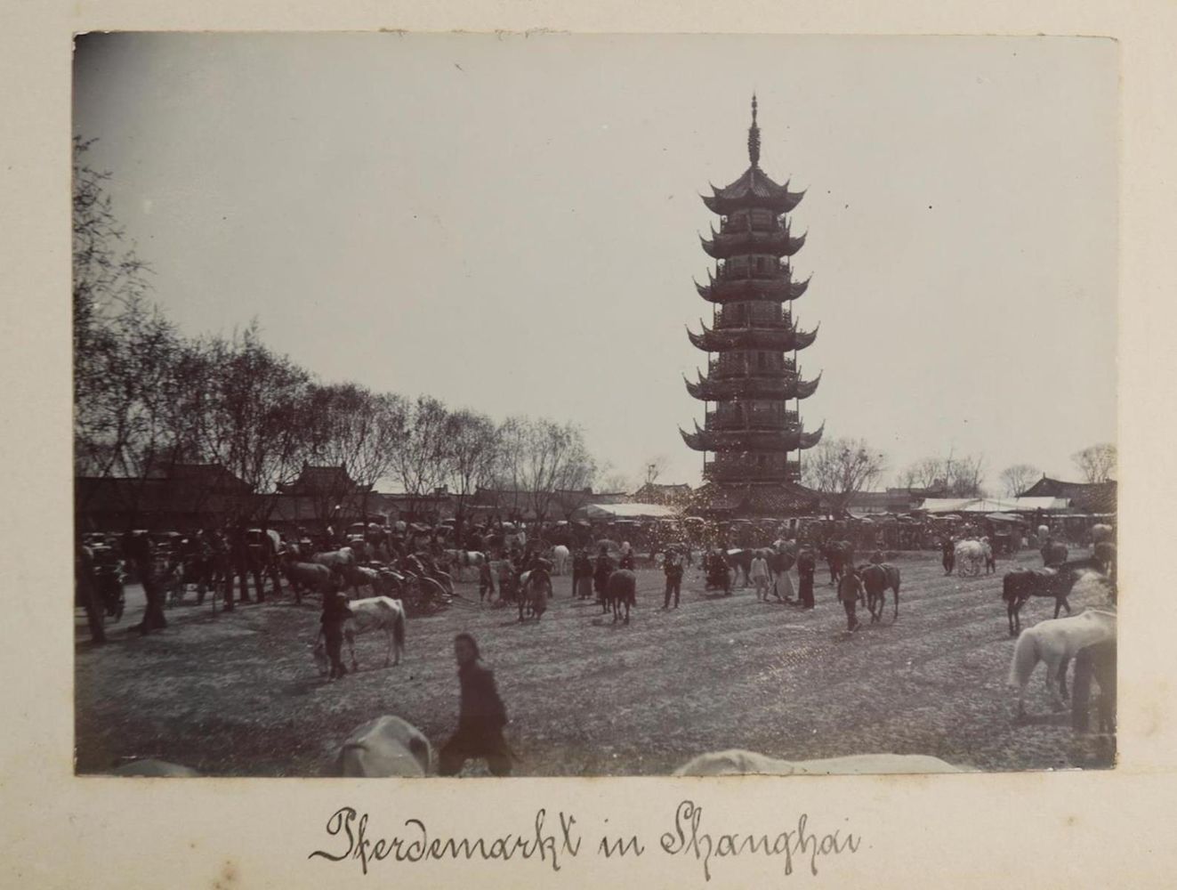 Große Abbildung Nr.8: 132-2333 Photoalbum: (China, SMS Luchs)