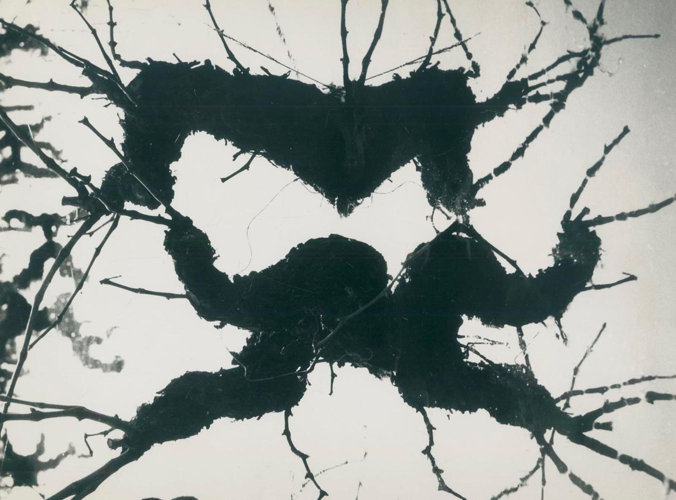 Große Abbildung Nr.2: 132-2338 Clergue, Lucien: (Photographie)