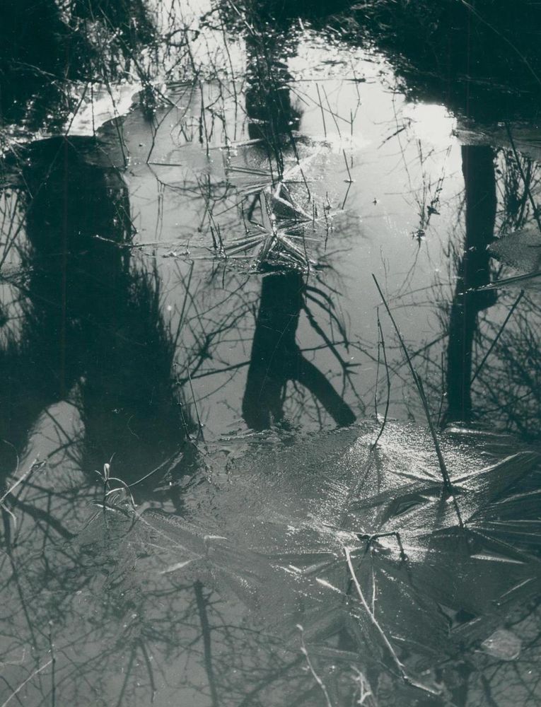 Große Abbildung Nr.1: 132-2339 Clergue, Lucien: (Photographie)