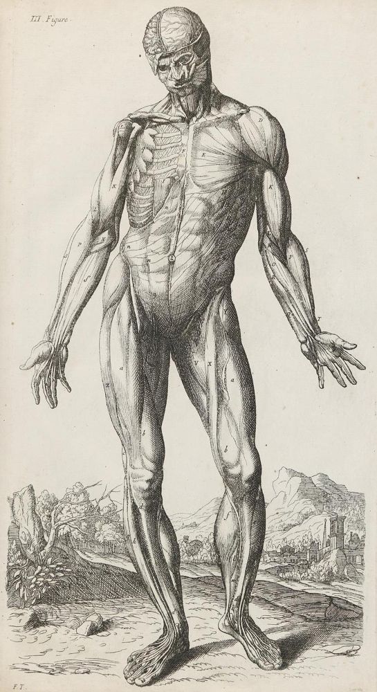 Große Abbildung Nr.1: 132-238 Tortebat,F.: (Alte Drucke, Handschriften und Theologie)