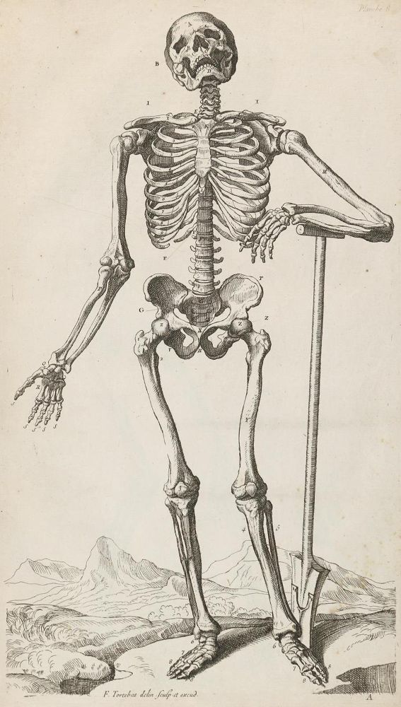 Große Abbildung Nr.2: 132-238 Tortebat,F.: (Alte Drucke, Handschriften und Theologie)