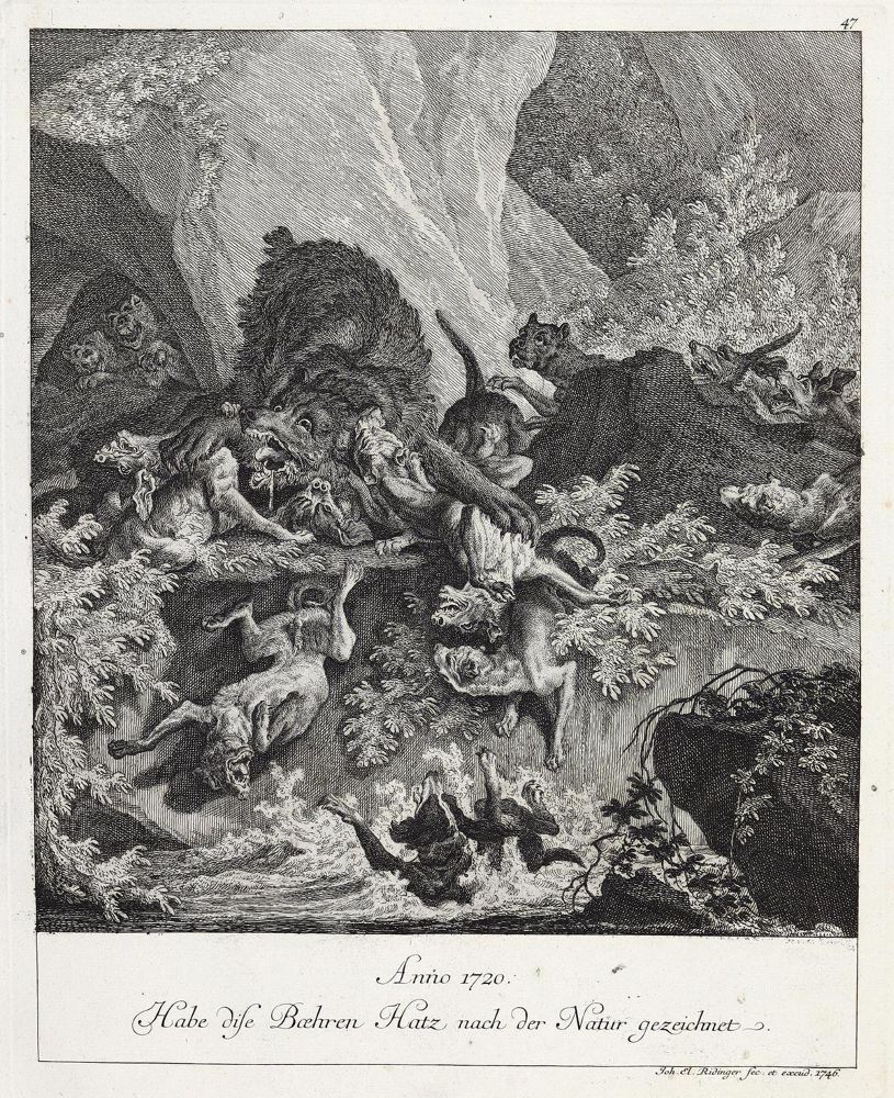 Große Abbildung Nr.1: 132-2412 Ridinger,E.J.: (Varia, Jagd, Bären)