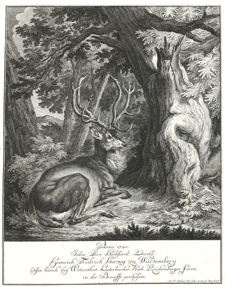Große Abbildung Nr.1: 132-2435 Ridinger,E.J.: (Varia, Jagd, Hirsche)