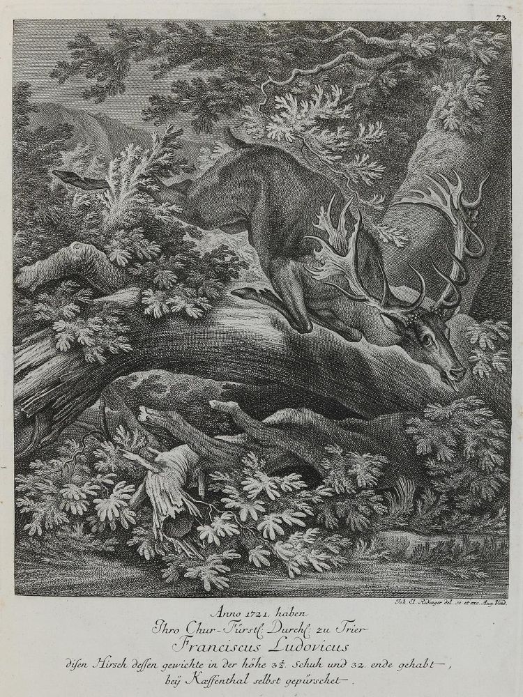 Große Abbildung Nr.1: 132-2436 Ridinger,E.J.: (Varia, Jagd, Hirsche)