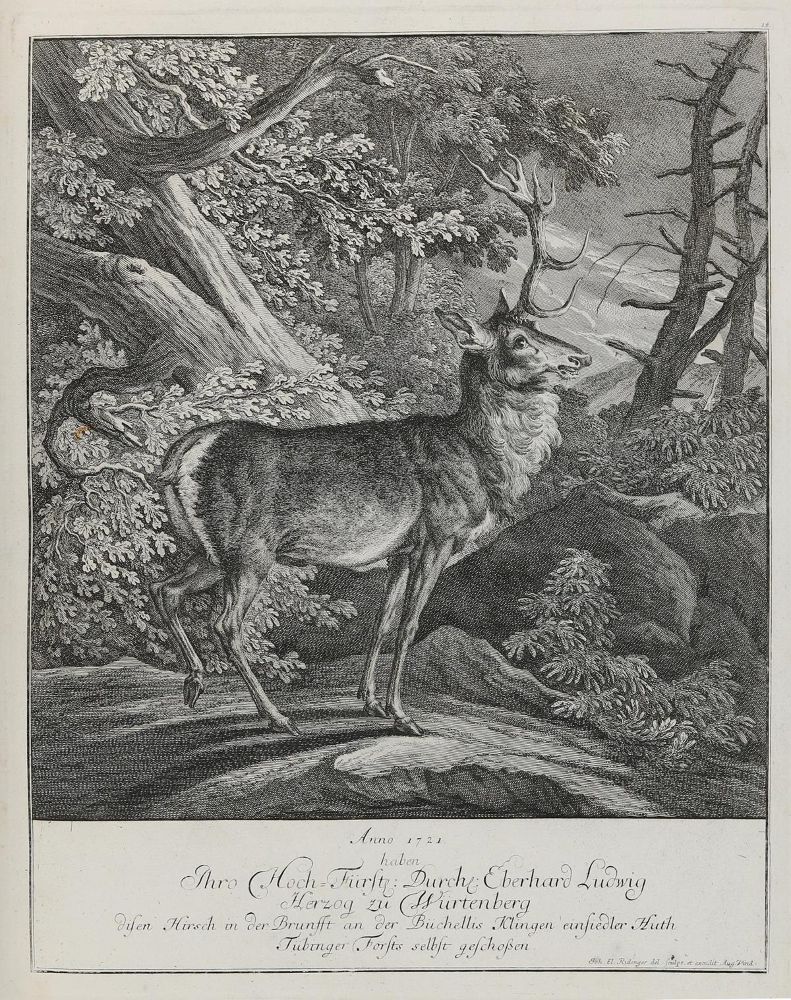 Große Abbildung Nr.1: 132-2437 Ridinger,E.J.: (Varia, Jagd, Hirsche)