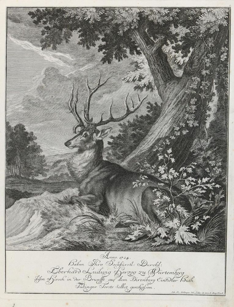 Große Abbildung Nr.1: 132-2438 Ridinger,E.J.: (Varia, Jagd, Hirsche)
