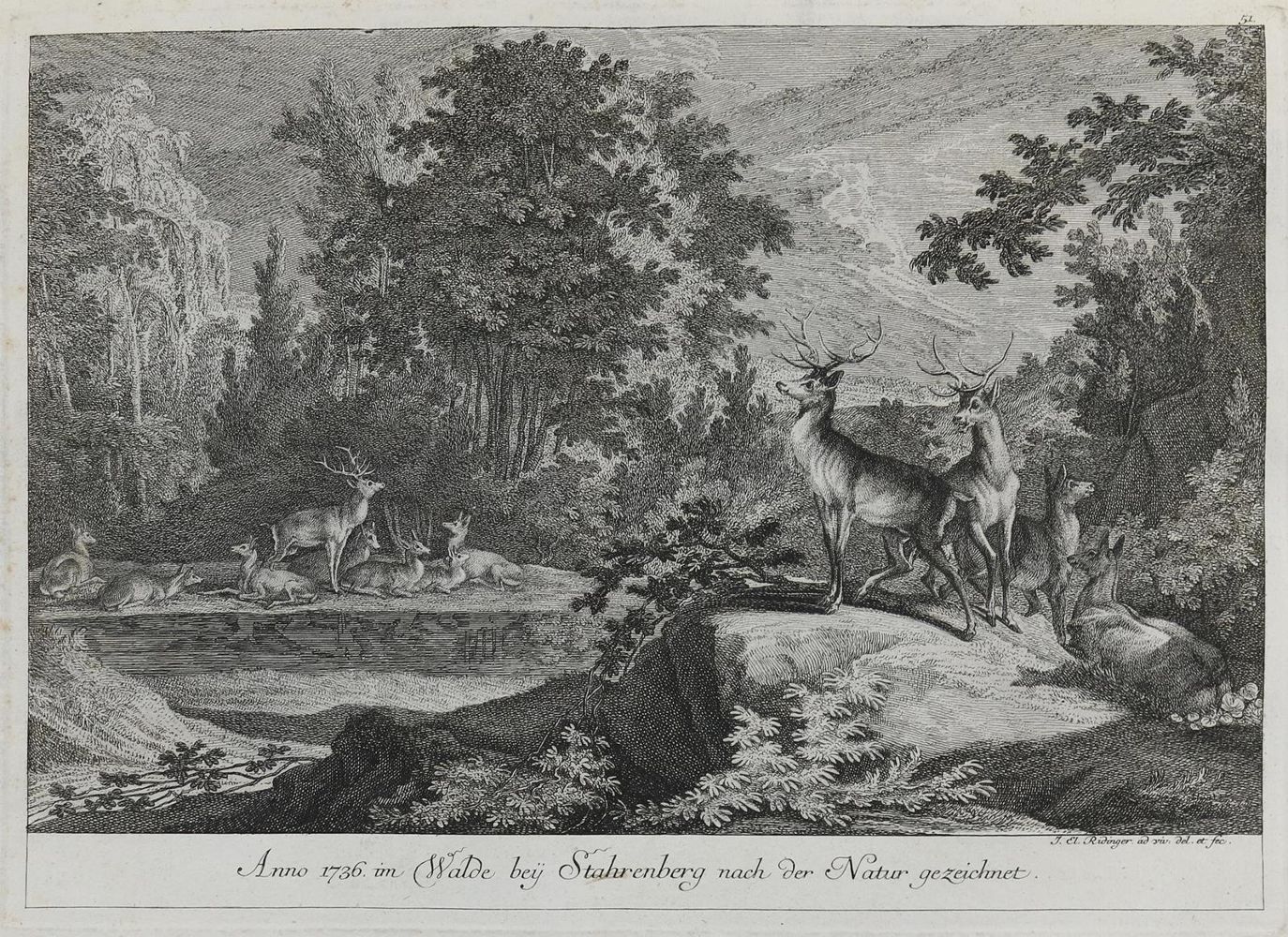 Große Abbildung Nr.1: 132-2446 Ridinger,E.J.: (Varia, Jagd, Hirsche)