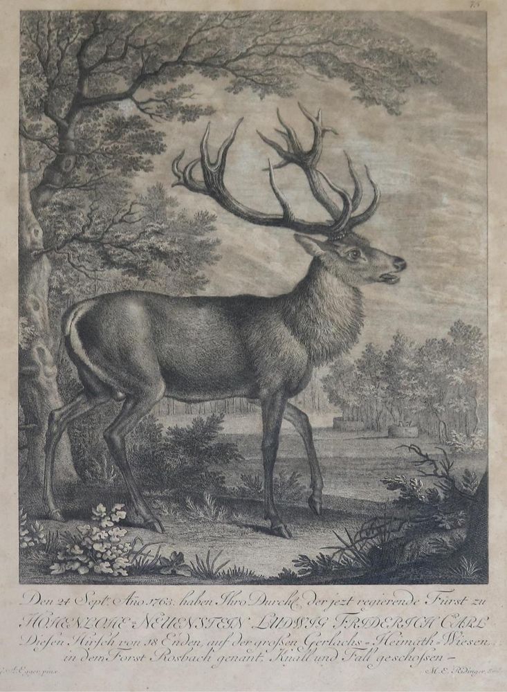 Große Abbildung Nr.1: 132-2486 Ridinger, Martin Elias.: (Varia, Jagd, Hirsche)