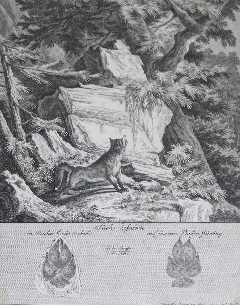 Große Abbildung Nr.2: 132-2486 Ridinger, Martin Elias.: (Varia, Jagd, Hirsche)