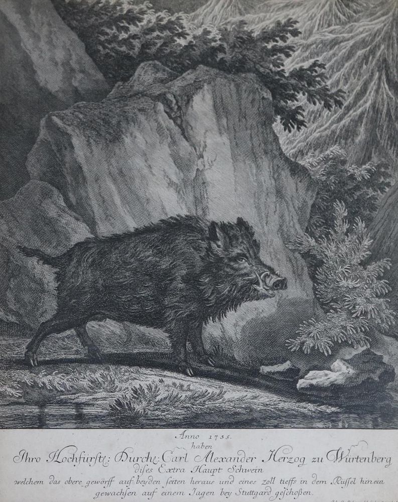 Große Abbildung Nr.3: 132-2486 Ridinger, Martin Elias.: (Varia, Jagd, Hirsche)