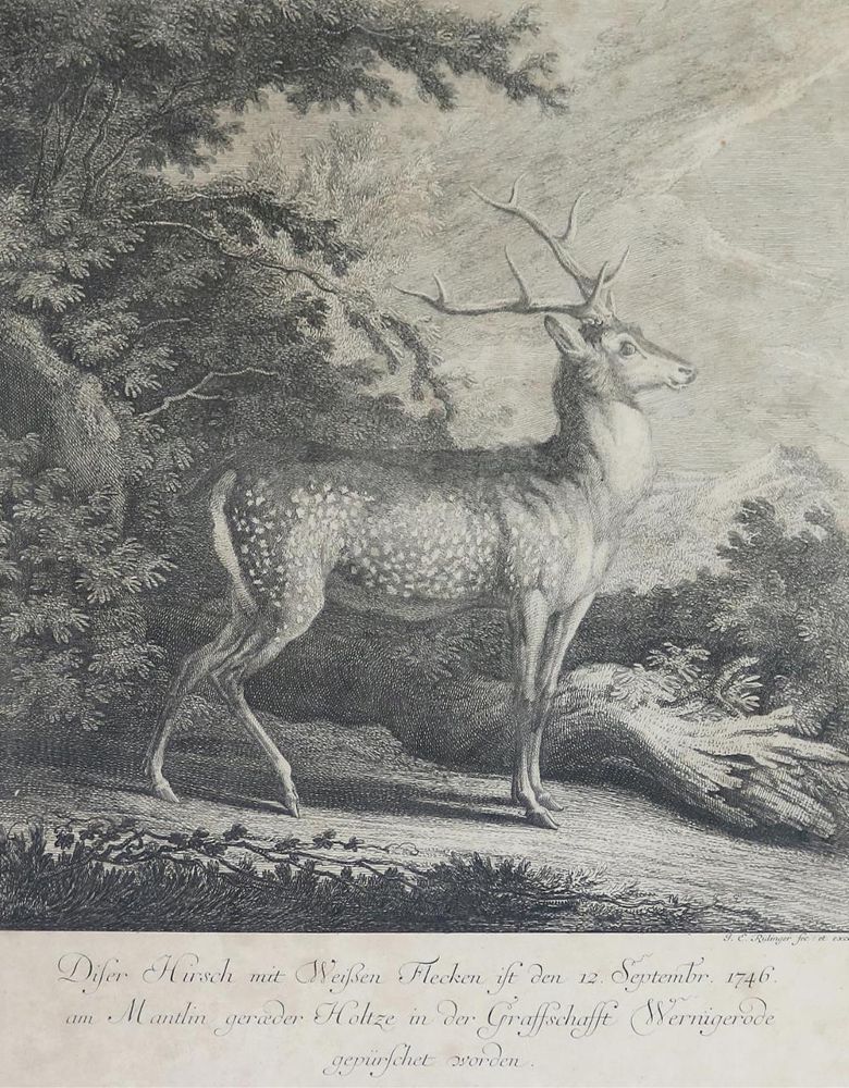 Große Abbildung Nr.4: 132-2486 Ridinger, Martin Elias.: (Varia, Jagd, Hirsche)