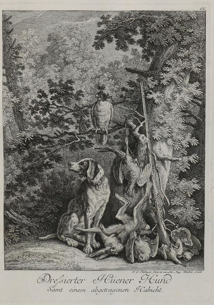 Große Abbildung Nr.1: 132-2490 Ridinger,E.J.: (Varia, Jagd, Hunde)