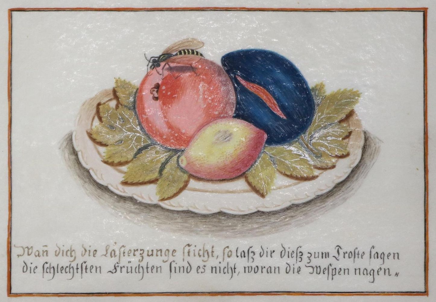 Große Abbildung Nr.1: 132-2558 Pomologie.: (Varia)