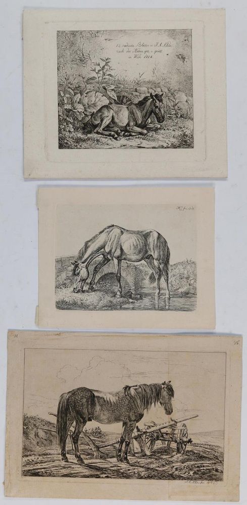 Große Abbildung Nr.2: 132-2597 Pferde.: (Varia, Zoologie)