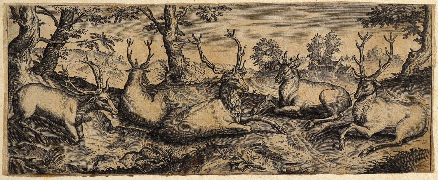 Große Abbildung Nr.1: 132-2602 Tiere.: (Varia, Zoologie)