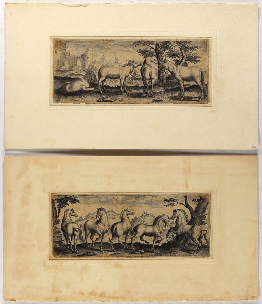 Große Abbildung Nr.2: 132-2602 Tiere.: (Varia, Zoologie)