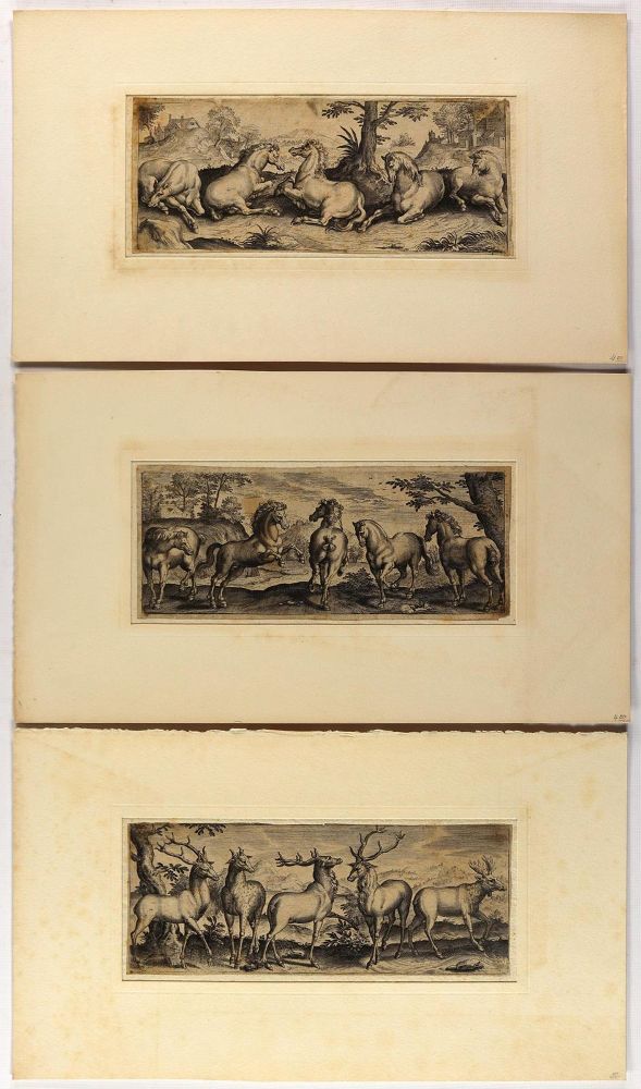 Große Abbildung Nr.3: 132-2602 Tiere.: (Varia, Zoologie)