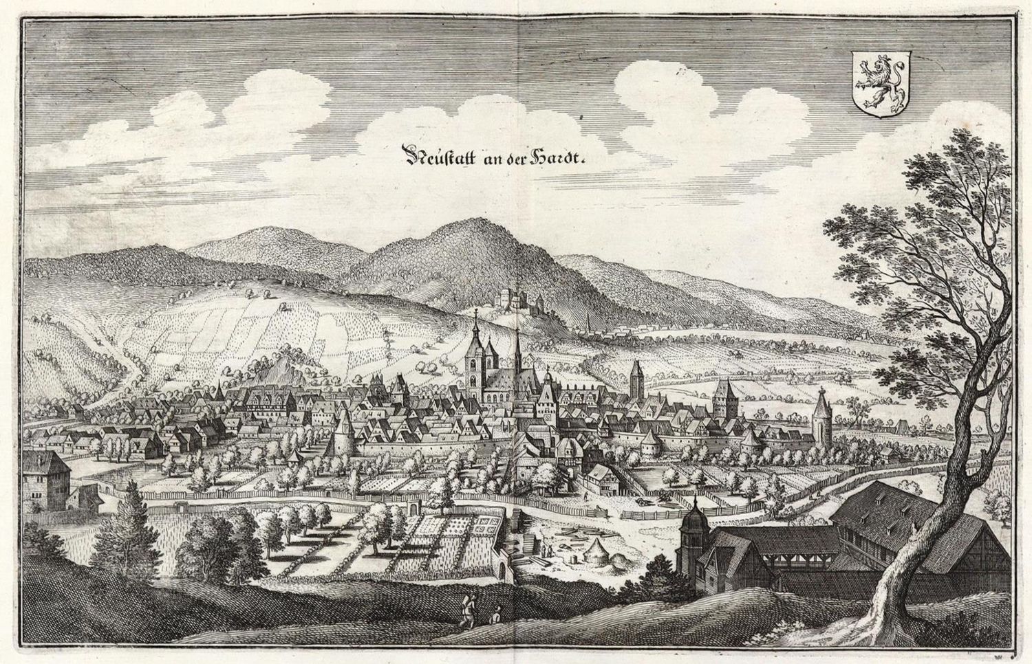 Große Abbildung Nr.1: 132-2702 Neustadt an der Haardt.: (Deutschland)