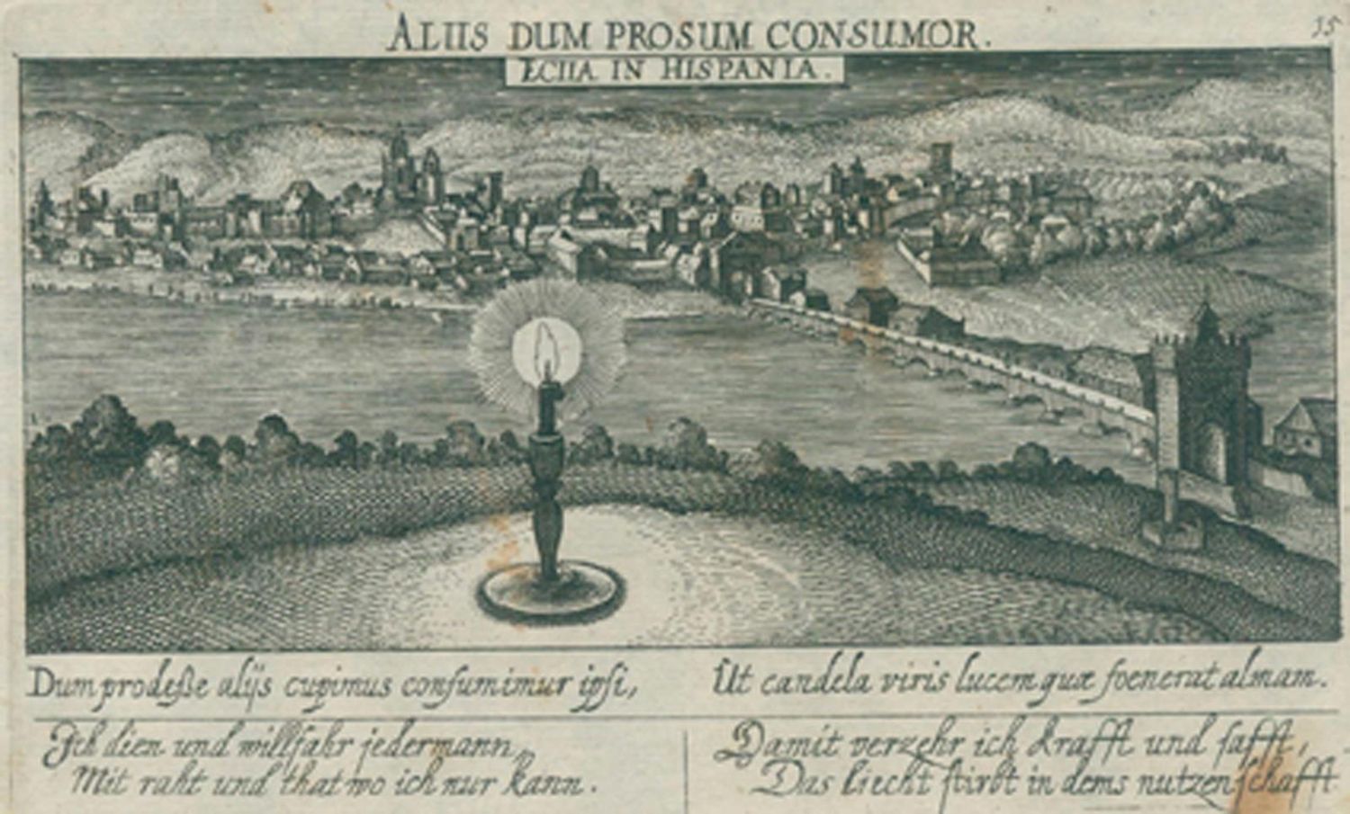 Große Abbildung Nr.11: 132-2938 Meisner.: (Ausland)