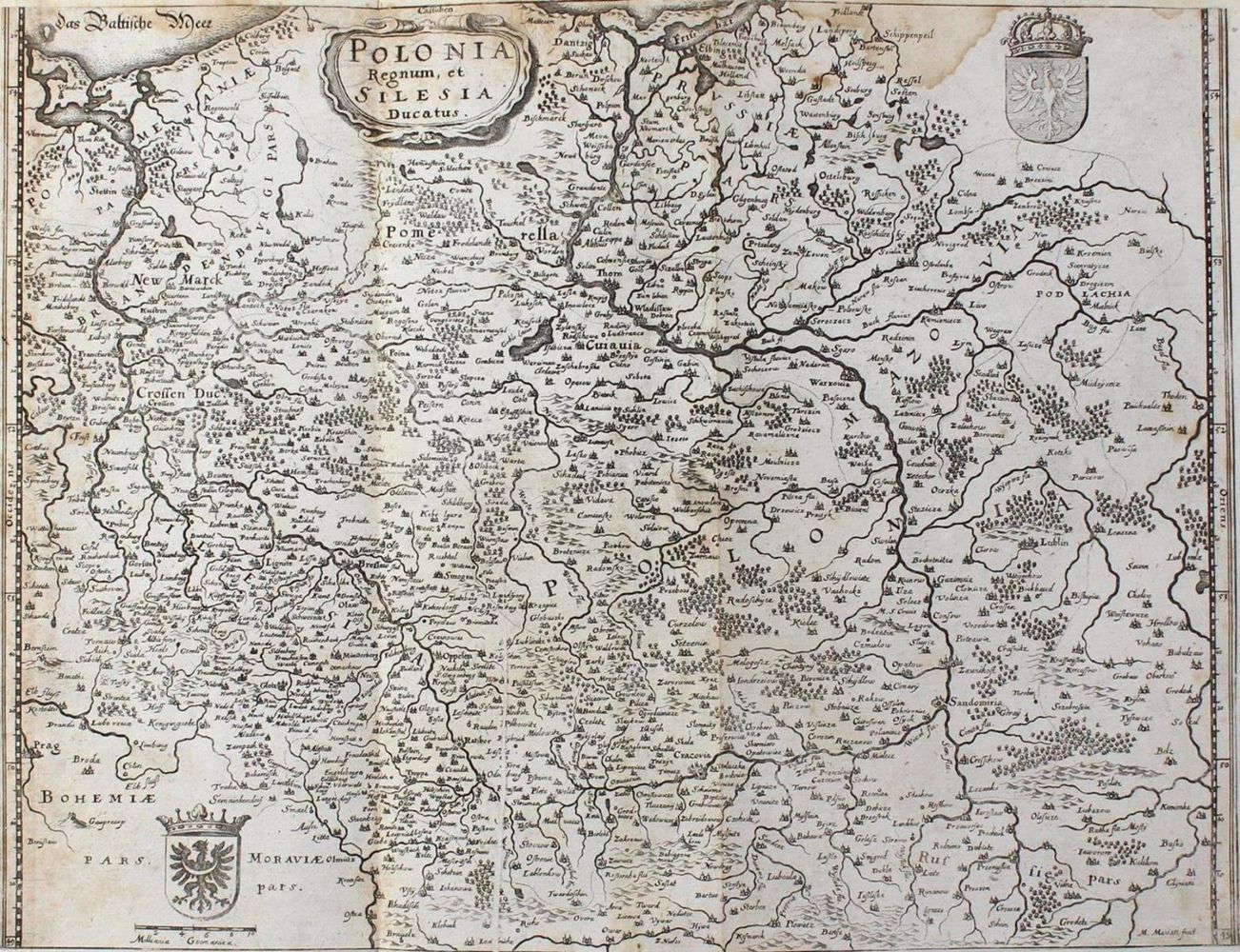 Große Abbildung Nr.1: 132-2954 Polonia Regnum, et Silesia Ducatus.: (Ausland, Polen)