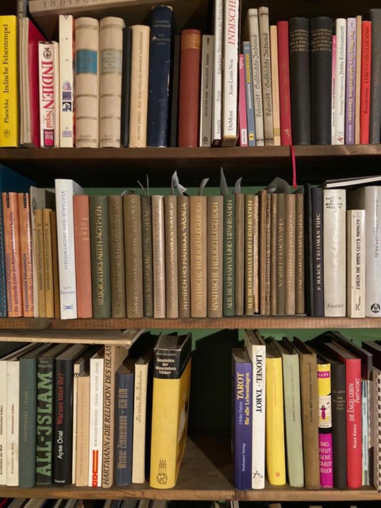 Große Abbildung Nr.17: 132-303 Konvolut: (Grenzwissenschaften und Okkultismus)