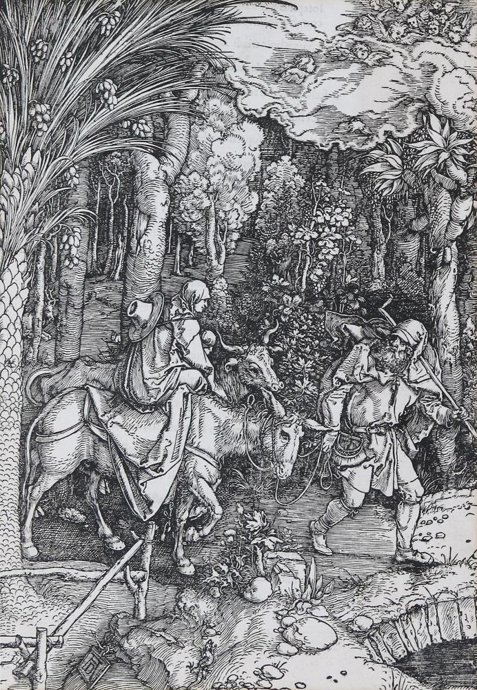 Große Abbildung Nr.1: 132-3283 Dürer, Albrecht: (Künstlergraphik)