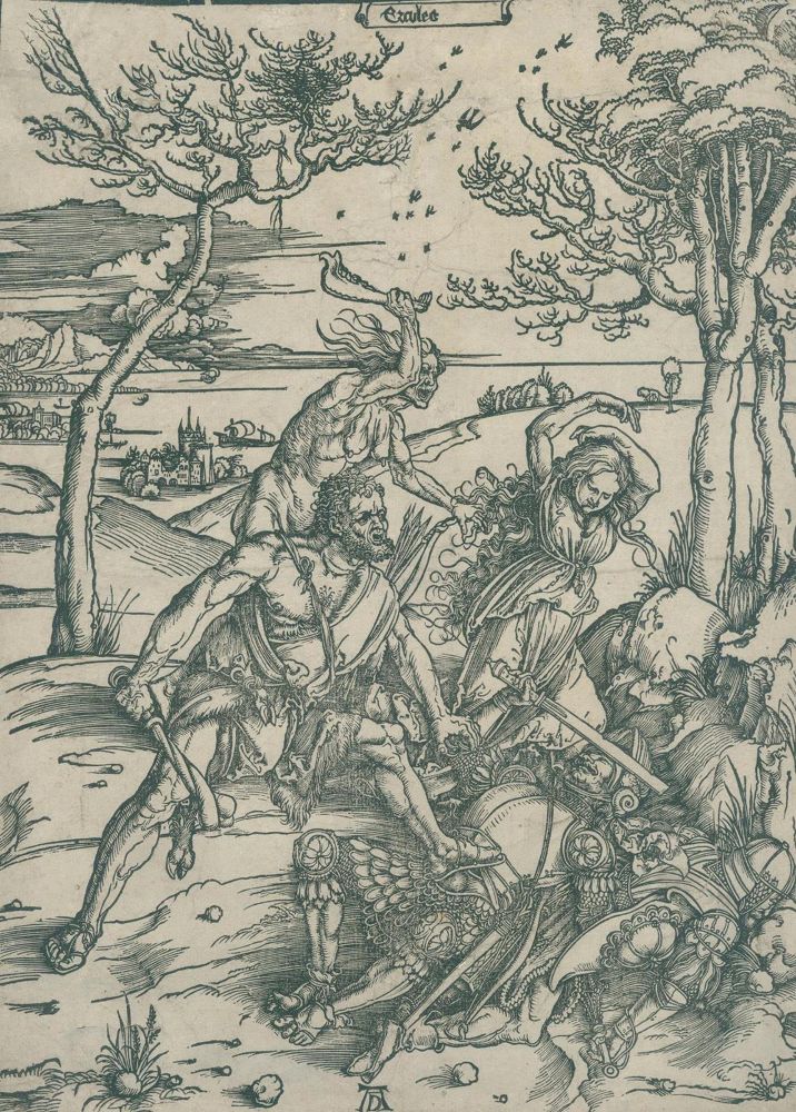 Große Abbildung Nr.1: 132-3284 Dürer, Albrecht: (Künstlergraphik)