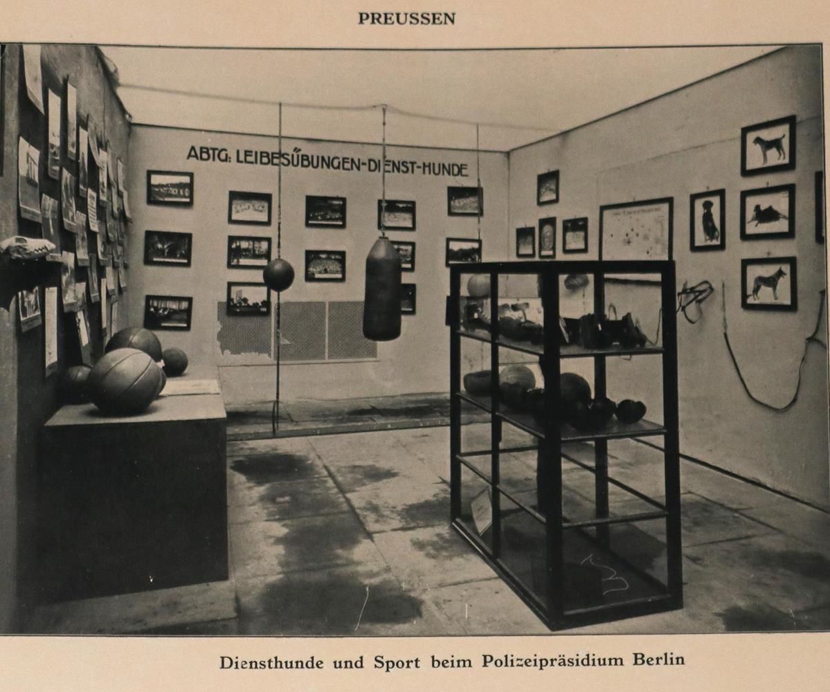 Große Abbildung Nr.1: 132-331 Internationale polizeitechnische Ausstellung.: (Juridica und Kriminologie)
