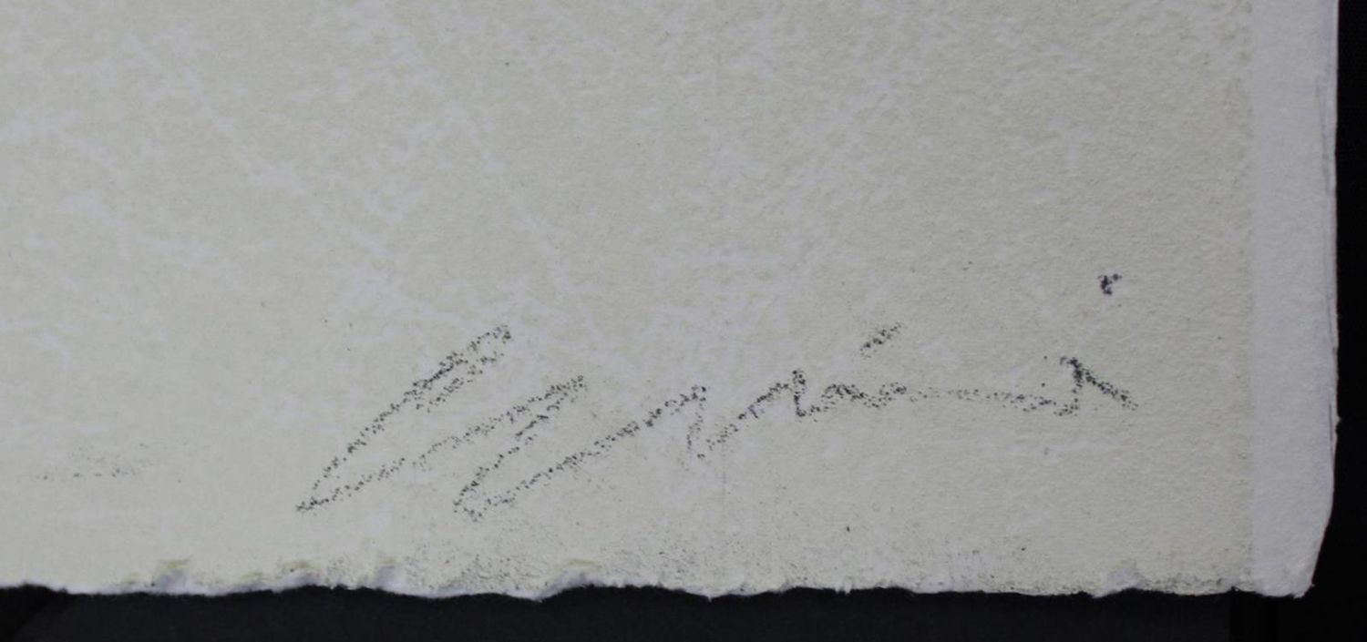 Große Abbildung Nr.2: 132-3394 Galliani, Omar u. Michelangelo: (Künstlergraphik)
