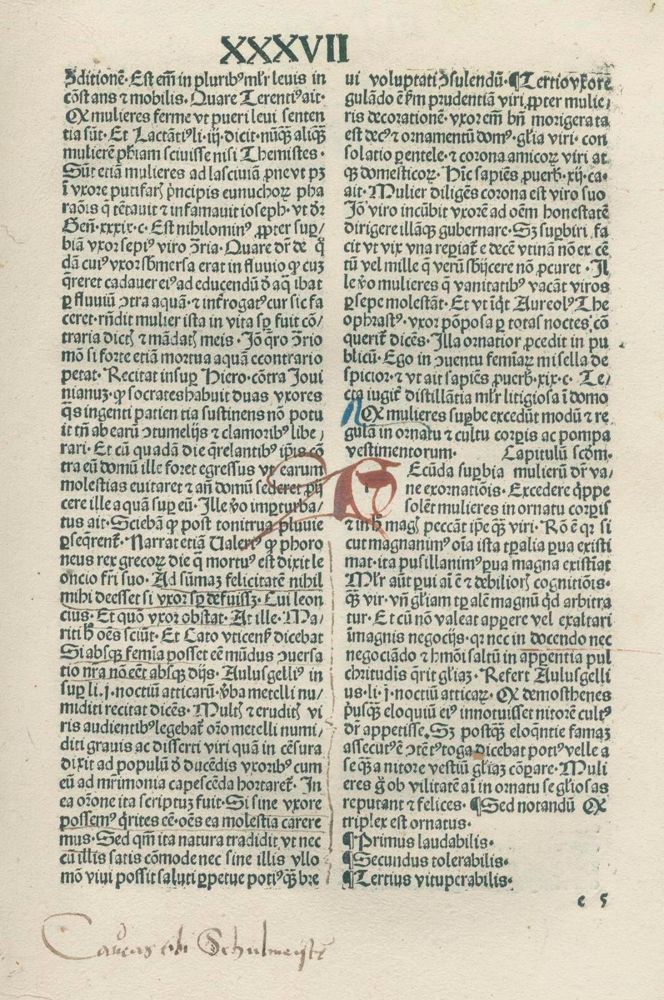 Große Abbildung Nr.77: 132-346 Konvolut: (Varia)