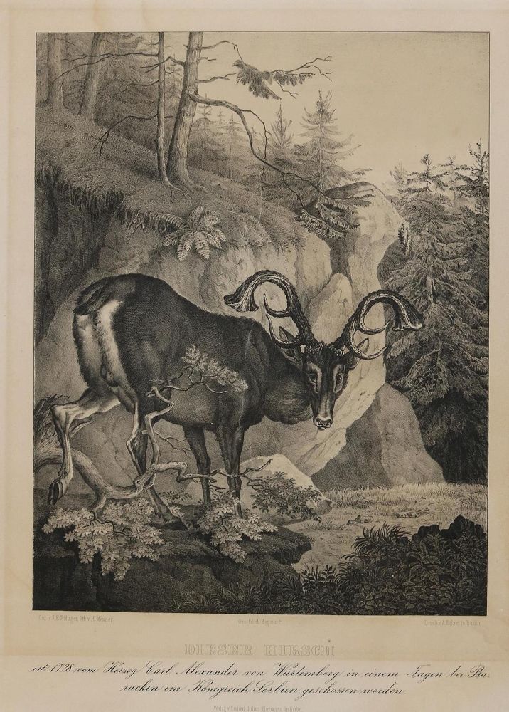 Große Abbildung Nr.2: 132-3517 Tornau, Karl Wilhelm Gustav: (Künstlergraphik, Jagd)