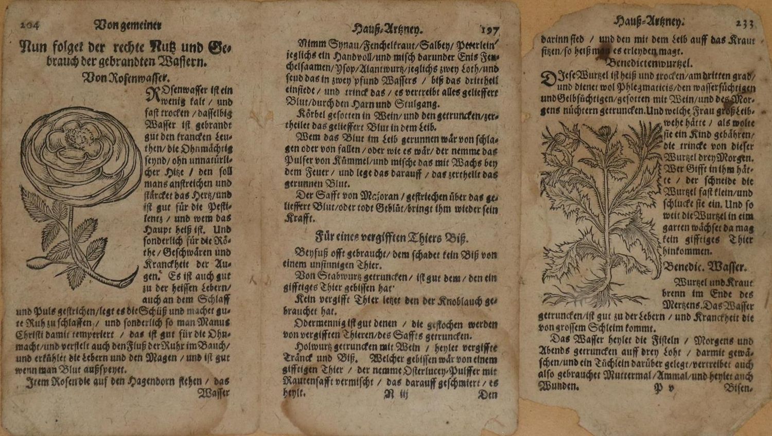 Große Abbildung Nr.4: 132-3653 Konvolut: (Künstlergraphik)