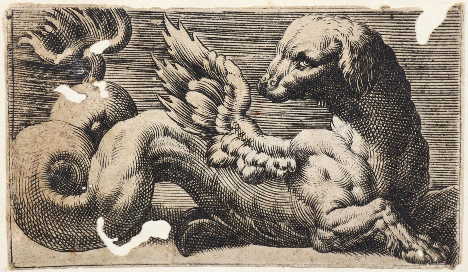 Große Abbildung Nr.1: 132-3773 Maglioli, Giovanni Andrea: (Künstlergraphik)