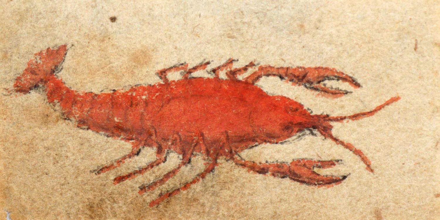 Große Abbildung Nr.1: 132-3892 Pflanzen und Tiere.: (Künstlergraphik)