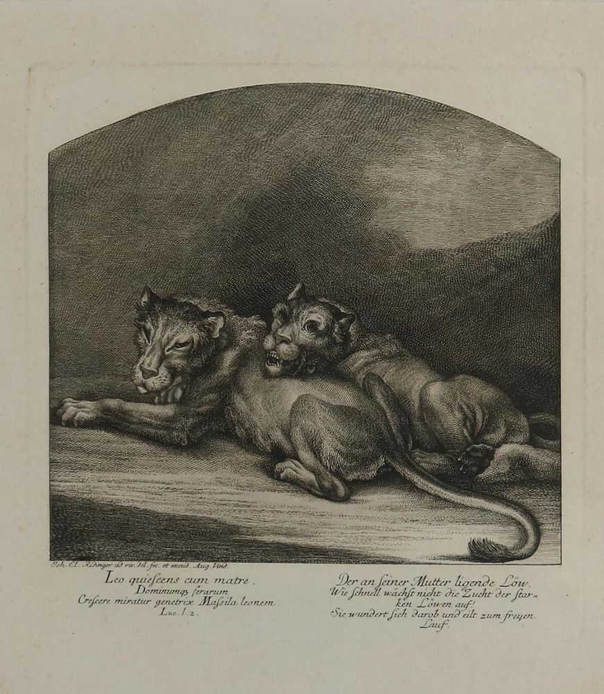 Große Abbildung Nr.1: 132-3983 Ridinger, Johann Elias: (Künstlergraphik)