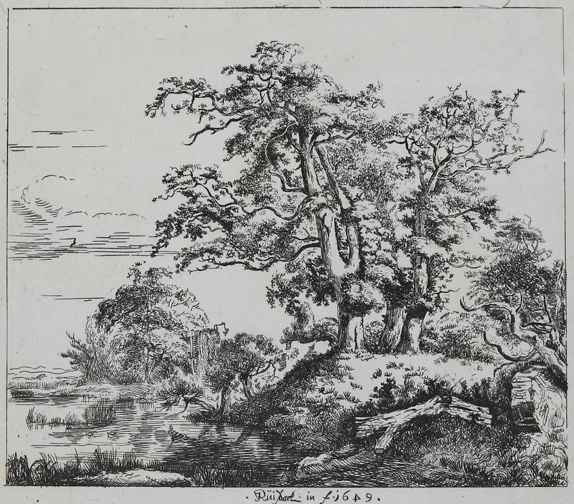 Große Abbildung Nr.1: 132-4007 Ruisdael, Jacob Isaackszoon: (Künstlergraphik)