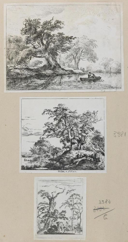 Große Abbildung Nr.2: 132-4007 Ruisdael, Jacob Isaackszoon: (Künstlergraphik)