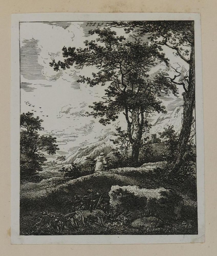 Große Abbildung Nr.2: 132-4008 Ruisdael, Jacob Isaackszoon: (Künstlergraphik)