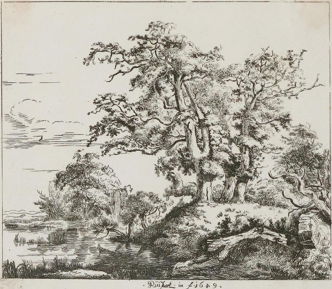 Große Abbildung Nr.1: 132-4009 Ruisdael, Jacob Isaackszoon: (Künstlergraphik)