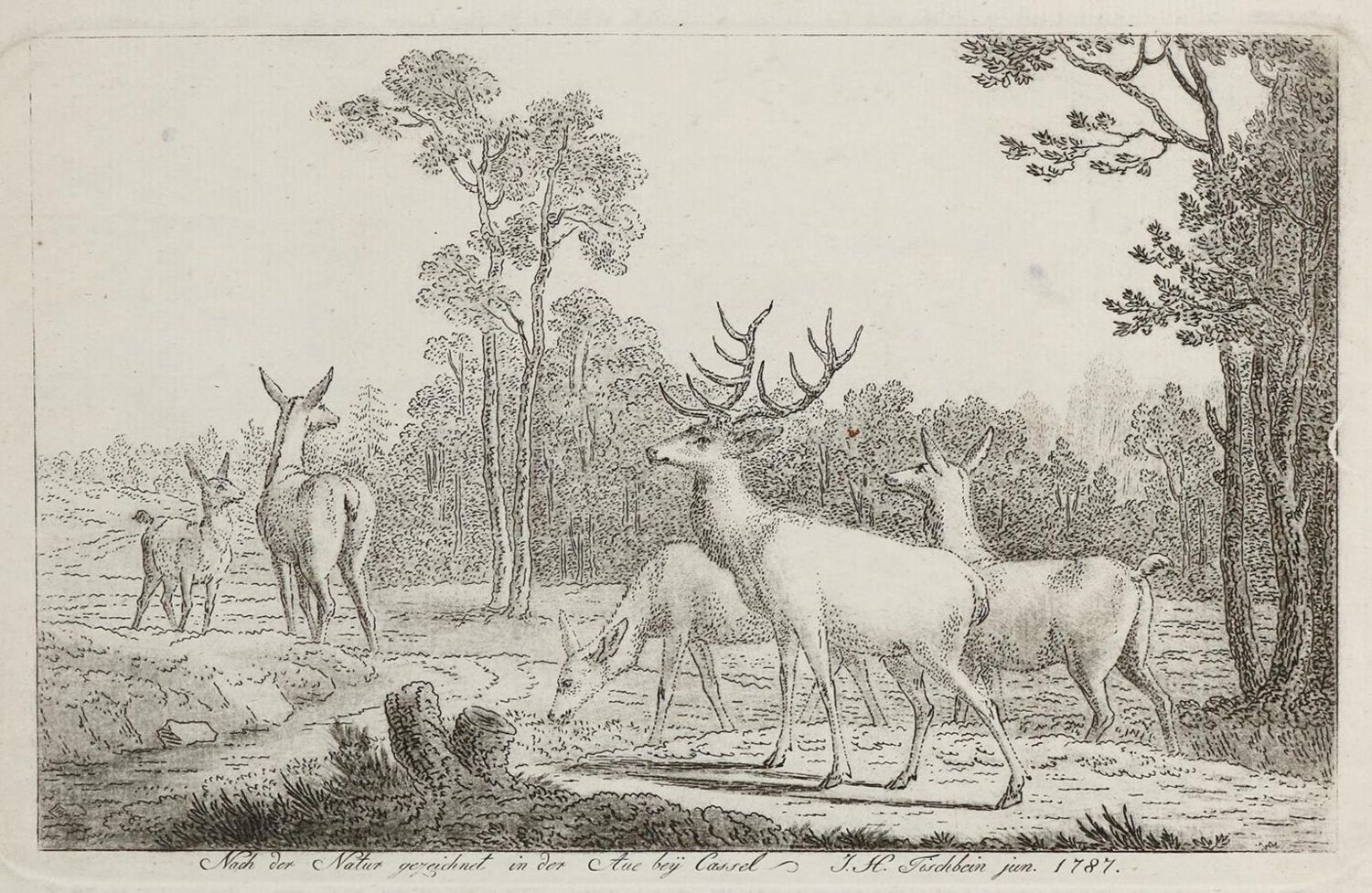 Große Abbildung Nr.1: 132-4155 Tischbein, Johann Heinrich d.J.: (Künstlergraphik)