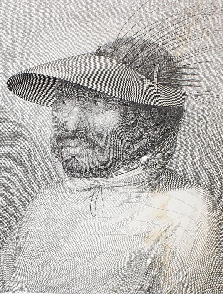 Große Abbildung Nr.1: 132-4235 Webber, John: (Künstlergraphik)