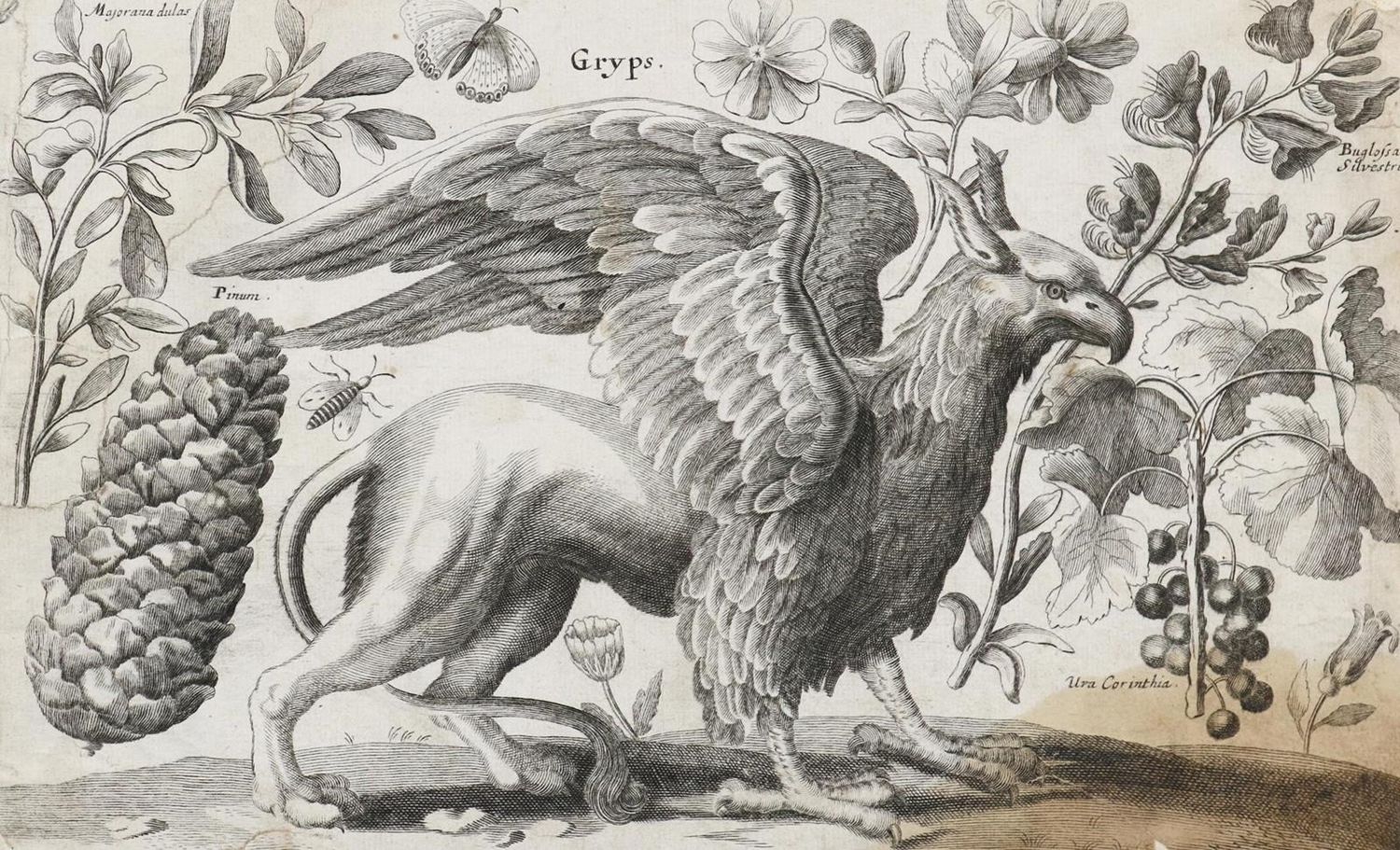 Große Abbildung Nr.15: 132-4244 Wenzel,Hollar u.a.: (Künstlergraphik)