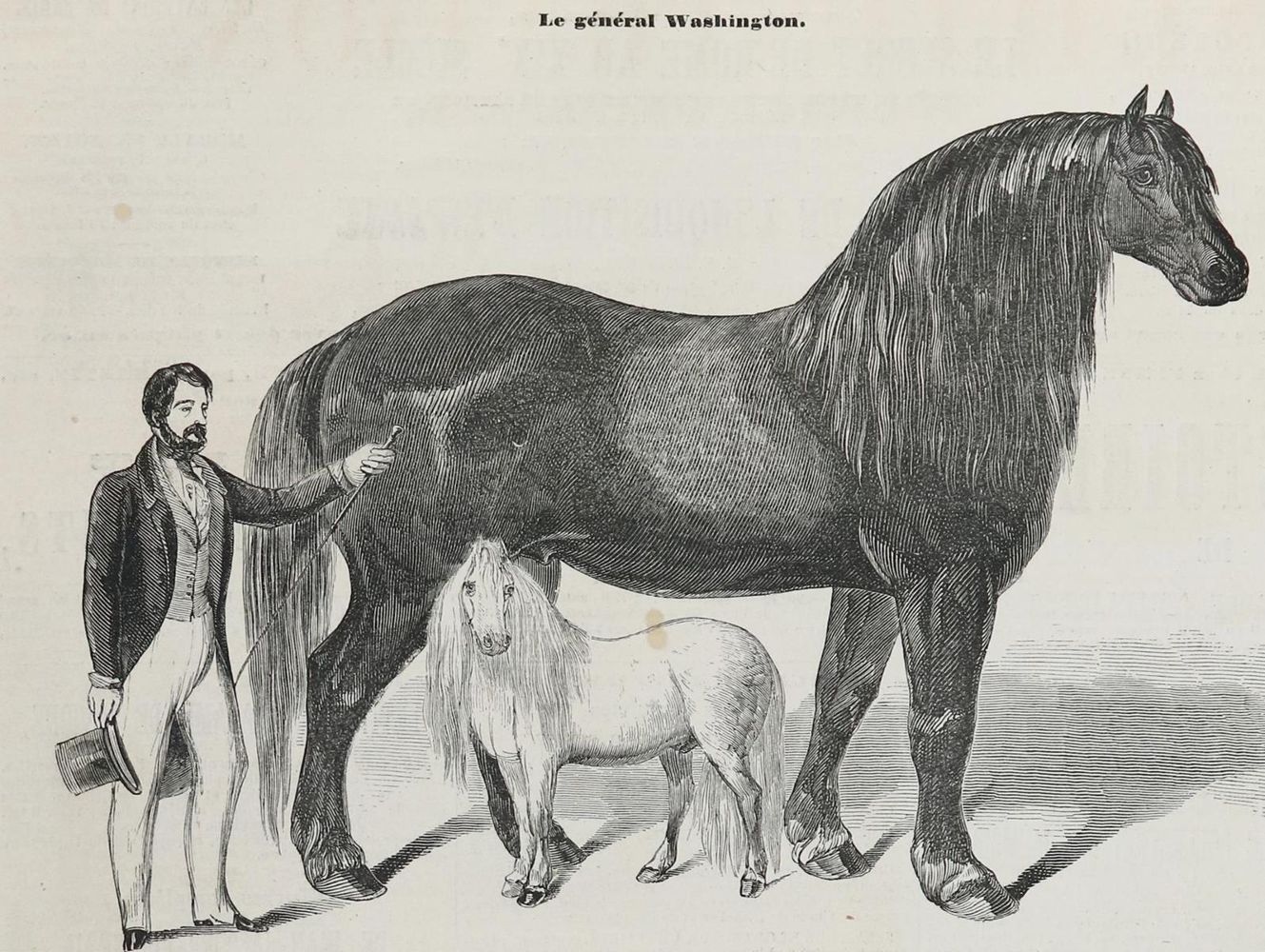 Große Abbildung Nr.3: 132-480 L`Illustration.: (Zeitschriften und Zeitungen)