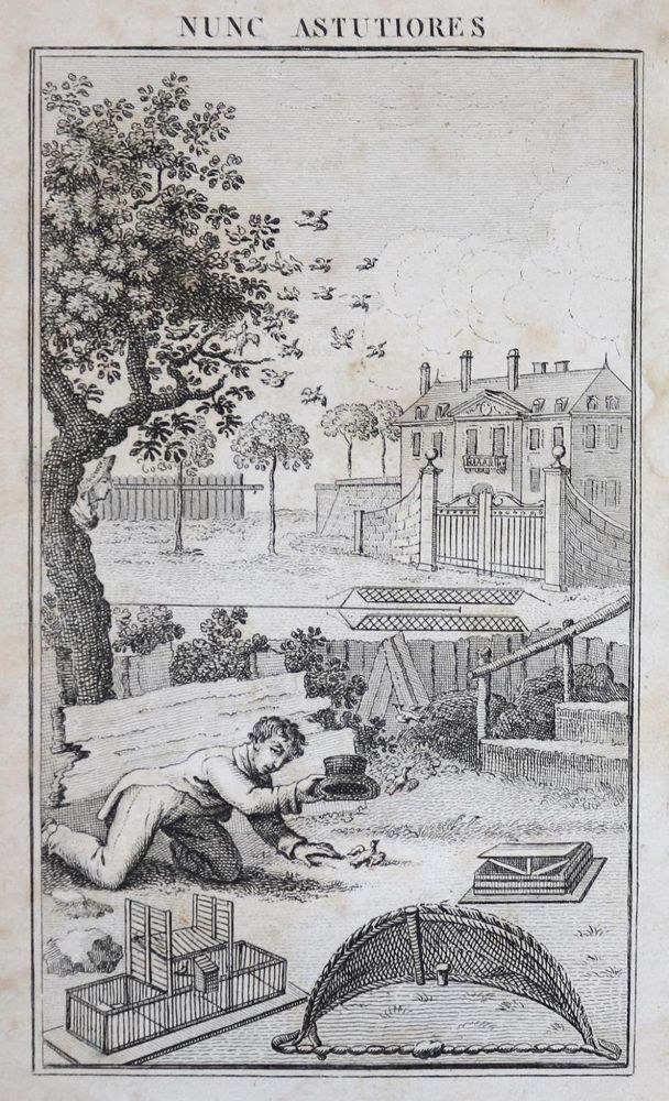 Große Abbildung Nr.2: 132-486 Cussac,J.: (Jagd)
