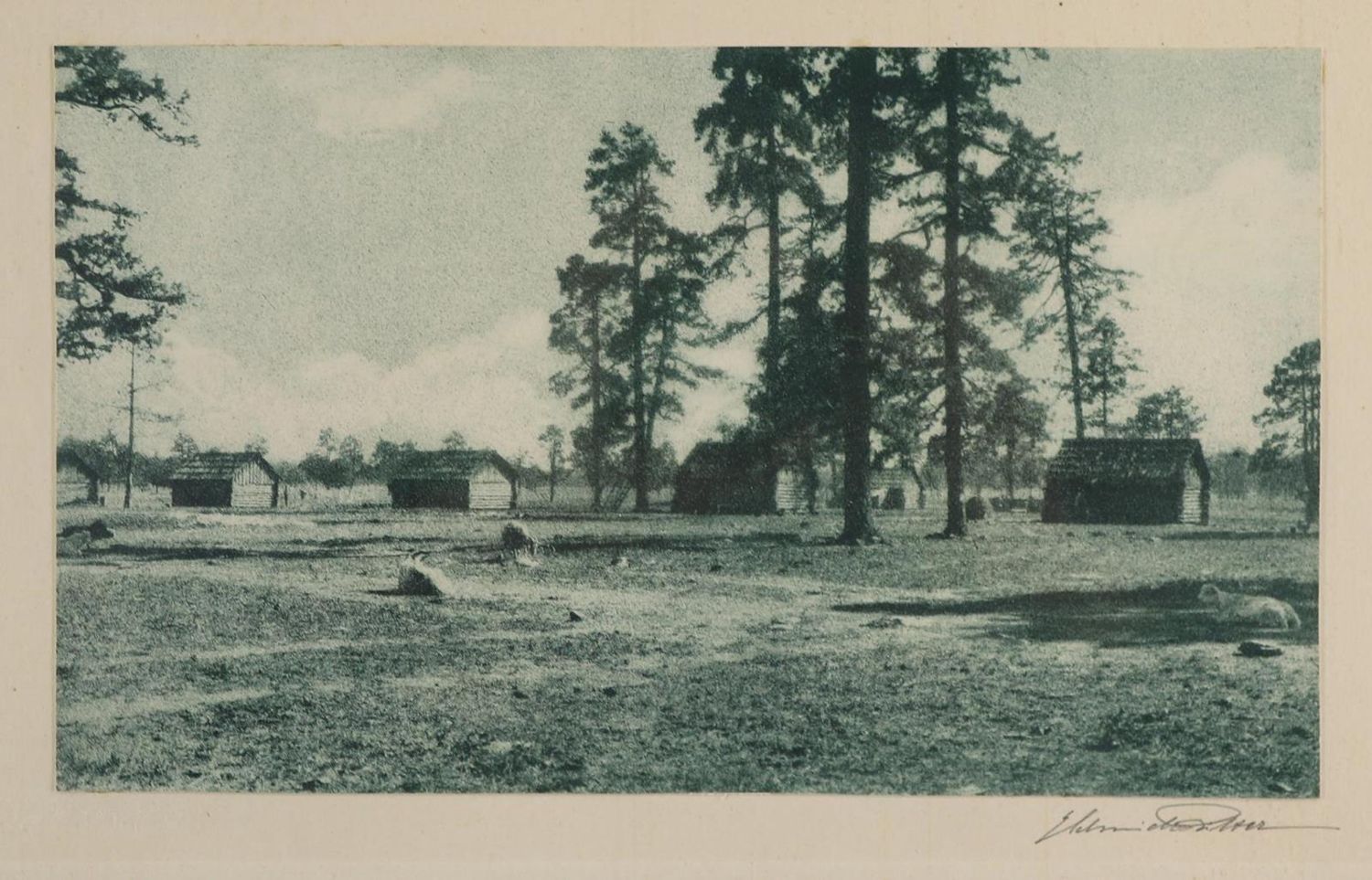 Große Abbildung Nr.51: 132-495 Menükarten.: (Küche und Haushalt, Gaststätten-Hotellerie)