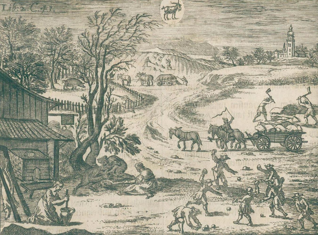 Große Abbildung Nr.2: 132-503 [Hohberg, Wolf Helmard Frhr. von.: (Küche und Haushalt, Haushalt)