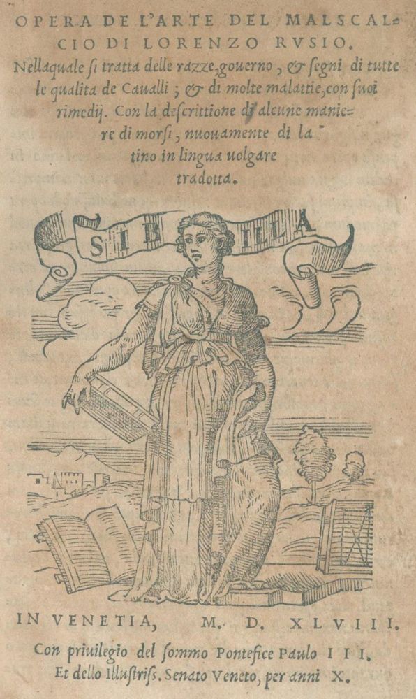 Große Abbildung Nr.1: 132-532 Rusius,L.: (Land- und Forstwirtschaft, Tierhaltung, Pferde)
