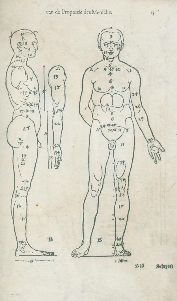 Große Abbildung Nr.2: 132-65 Dürer,A.: (Alte Drucke, Handschriften und Theologie)
