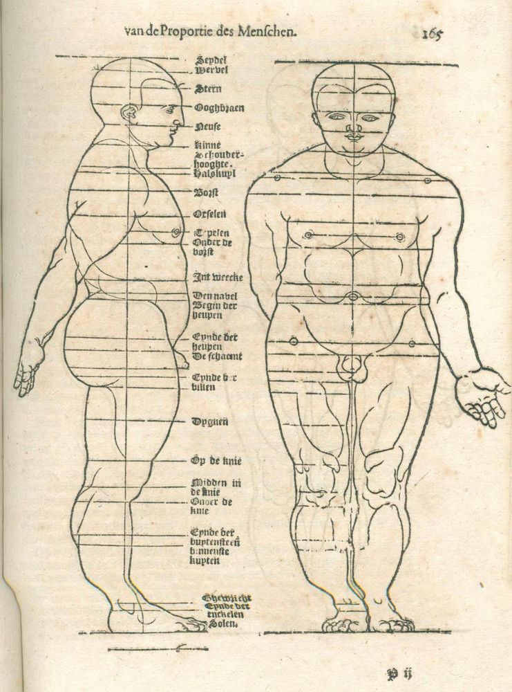 Große Abbildung Nr.3: 132-65 Dürer,A.: (Alte Drucke, Handschriften und Theologie)